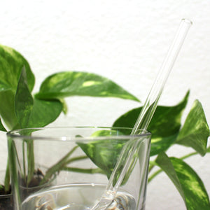 Crystal Clear Glass Straw Set