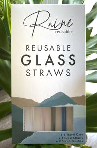 Multicolor Glass Straw Set