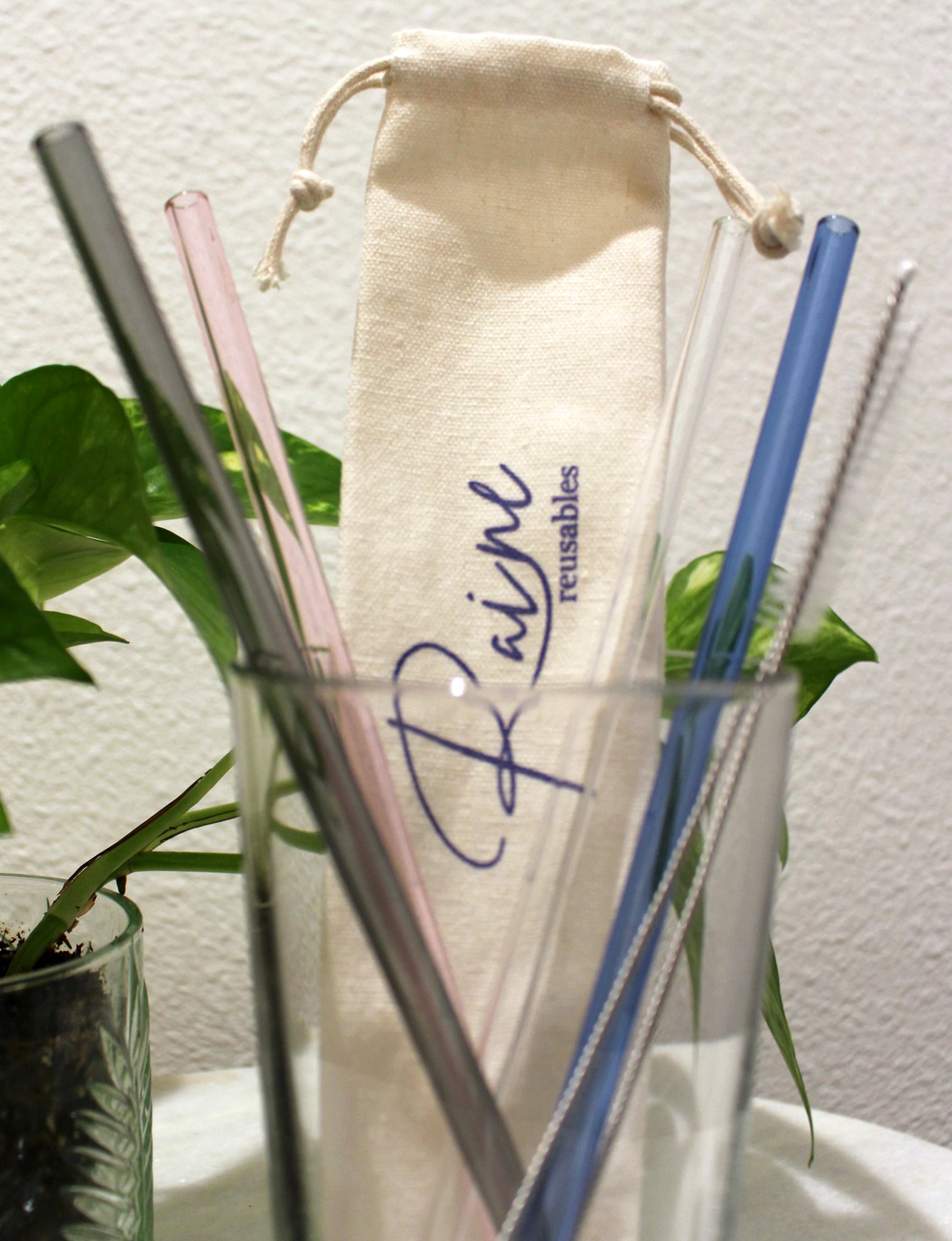 Glass Straw Set