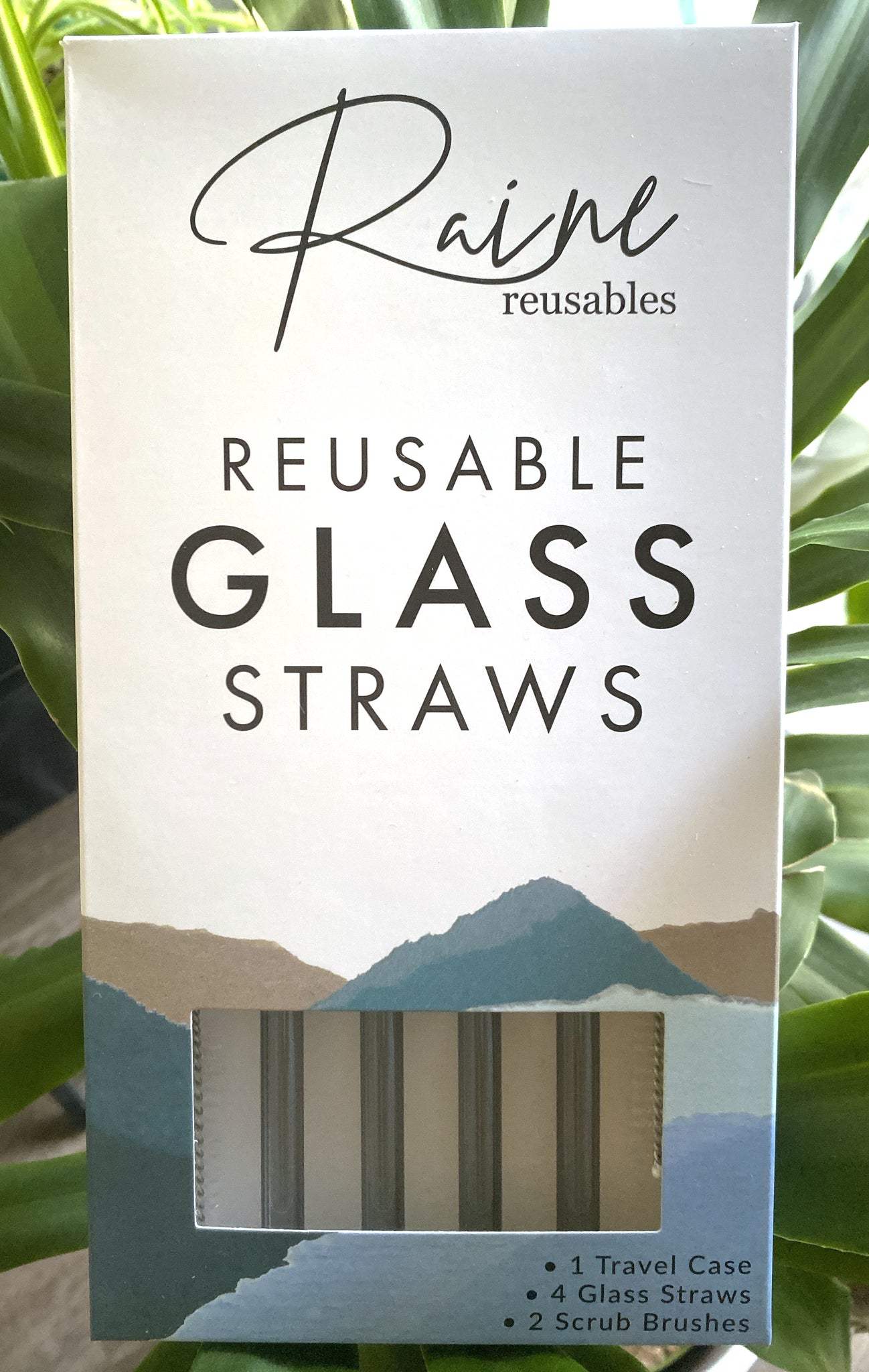 Storm Gray Glass Straw Set – Raine